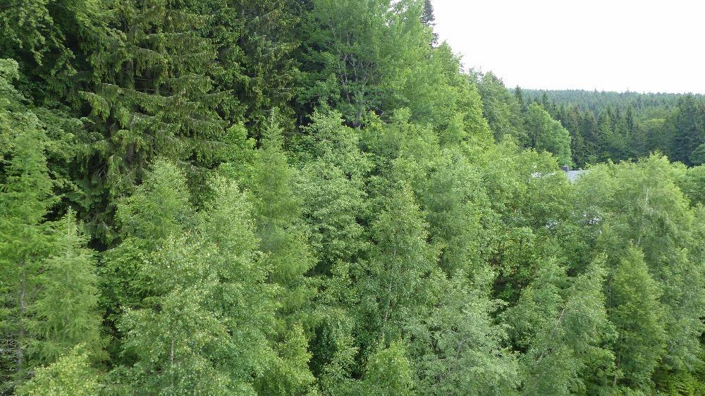 Apartman Bedrichov, Špindlerŭv Mlýn Buitenkant foto